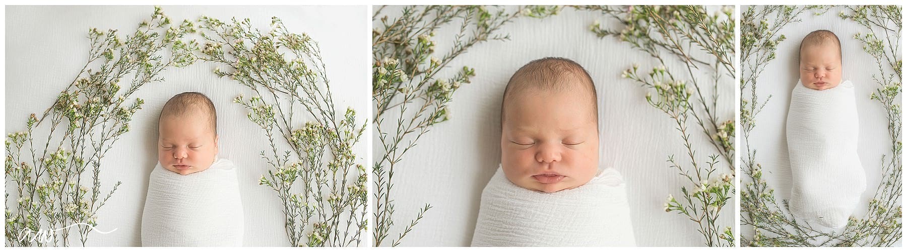 South Tampa Newborn Photographer