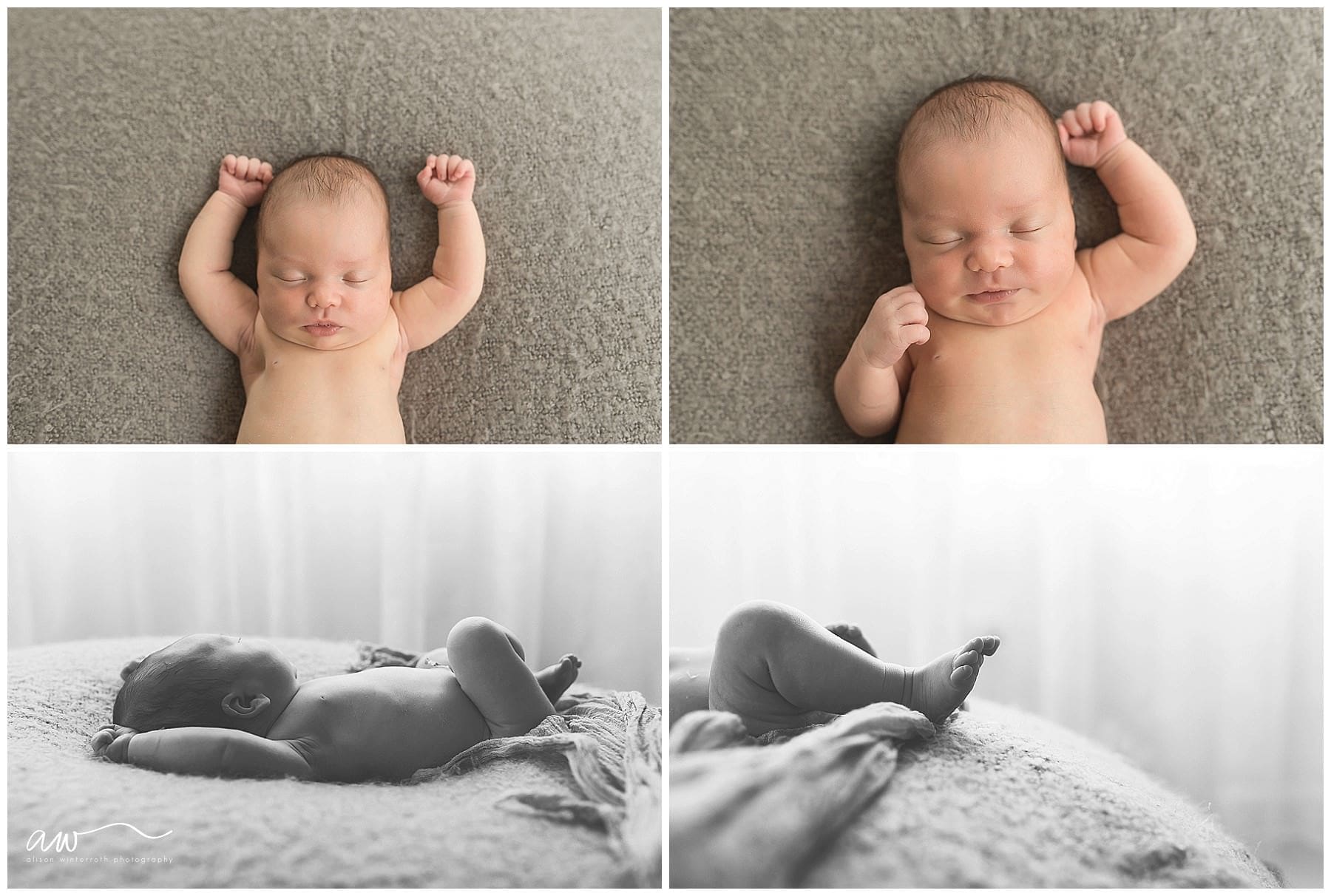 South Tampa Newborn Photos