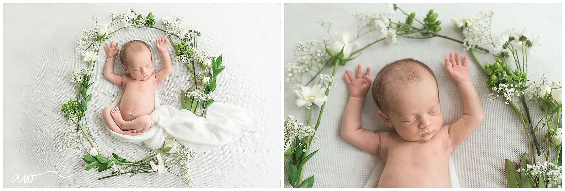 best newborn photographer