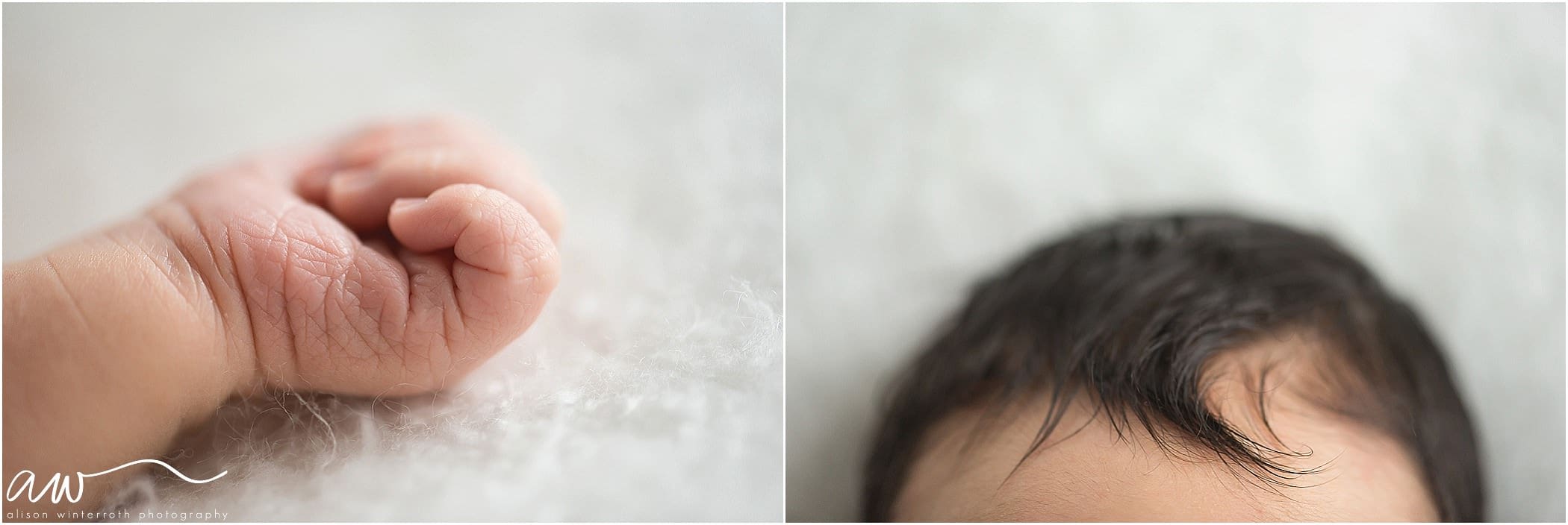 Tampa Newborn photography