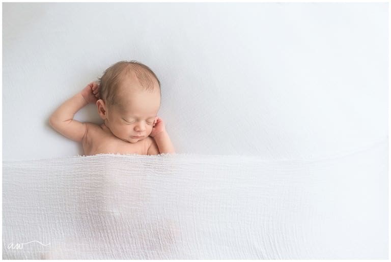 a natural newborn session tampa