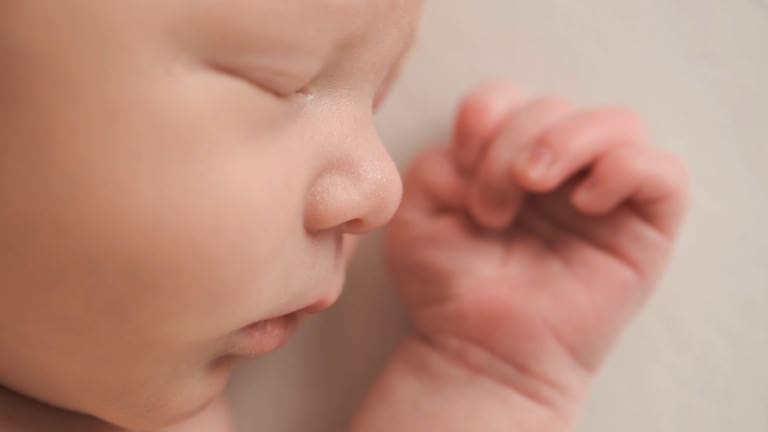 Tampa newborn photographer