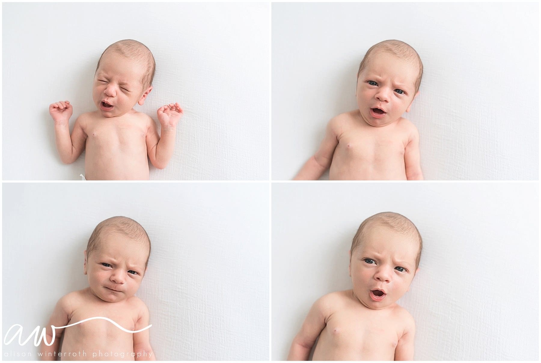 tampa new born photographer