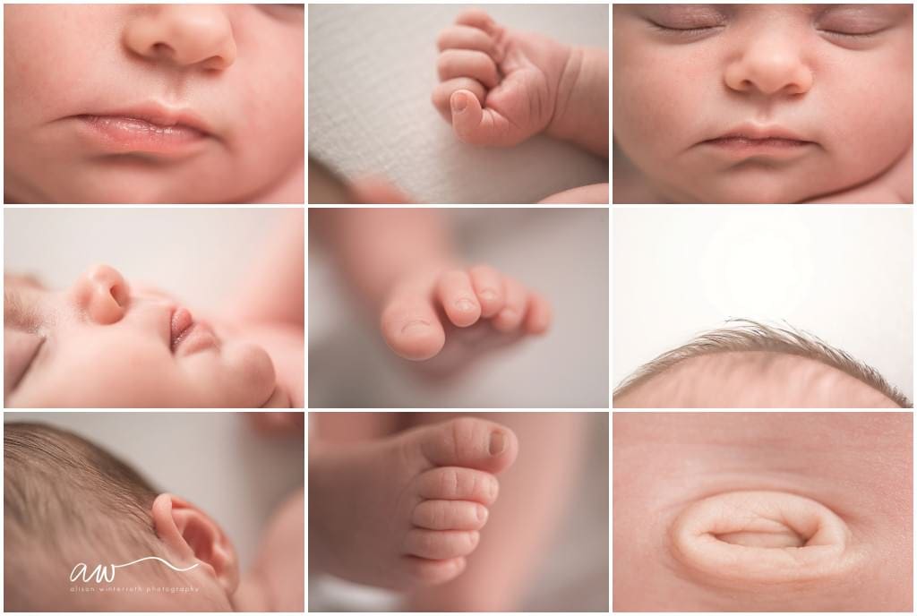 Tampa Fl Newborn Photographer-0128