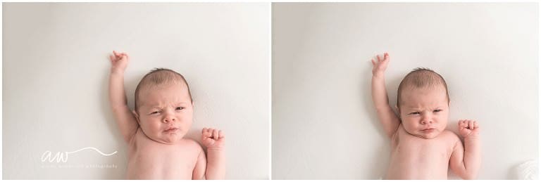 Tampa Fl Newborn Photographer