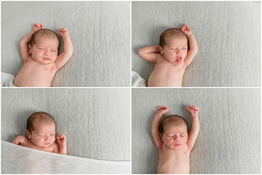 newborn portraits in tampa florida