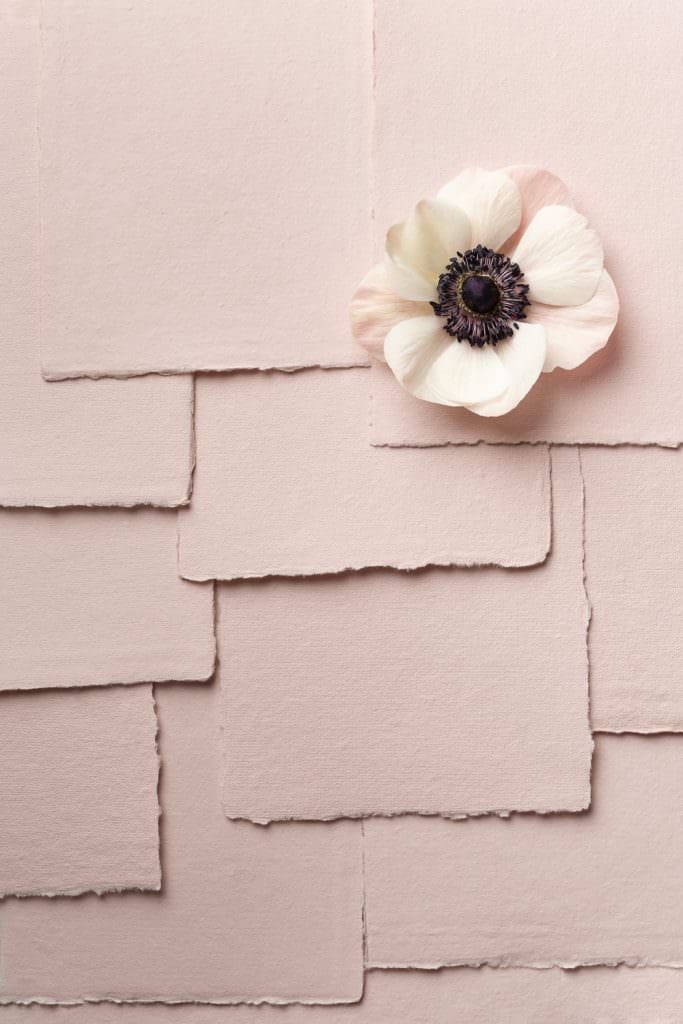 handmade paper product photographs