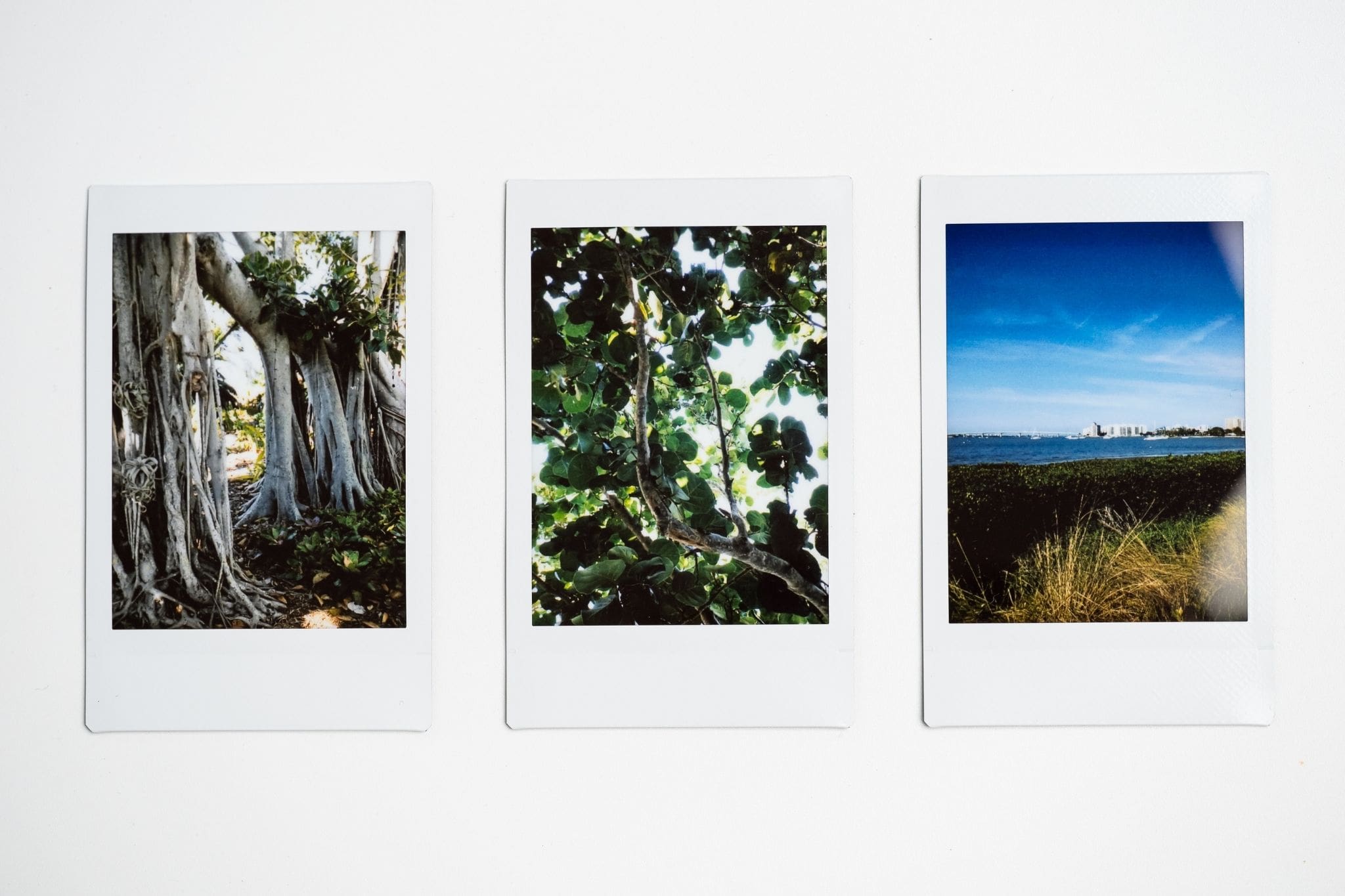 three images taken on an instax mini liplay + camera lined up on a white background