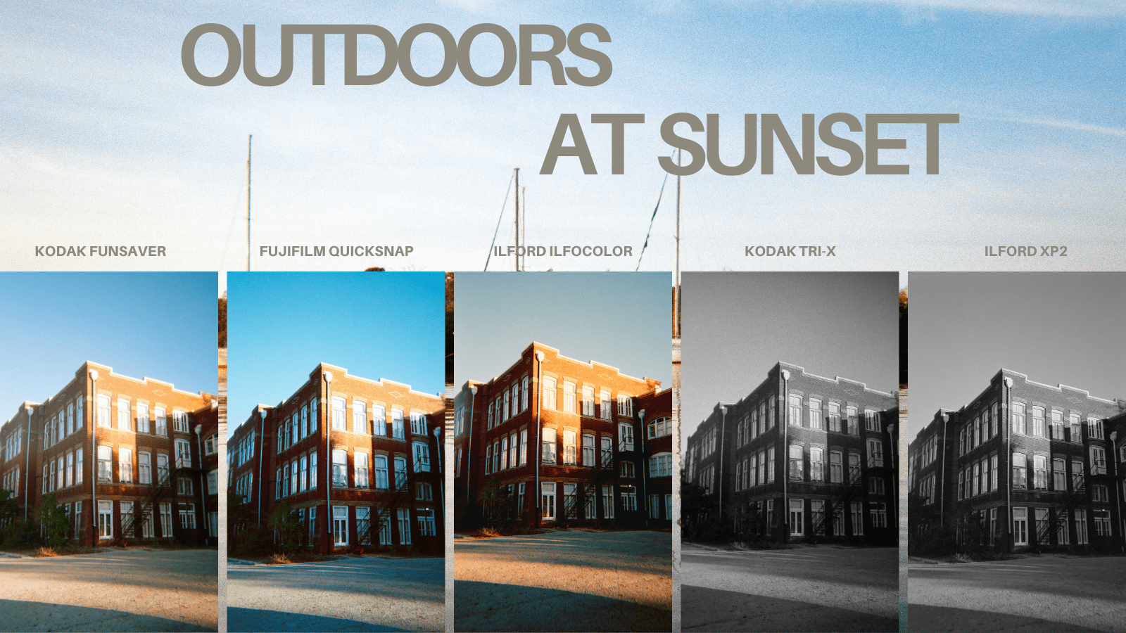 testing five disposable cameras outdoors at sunset kodak funsaver, fuji quicksnap, ilford ilfocolor, kodak tri-x, and ilford xp2