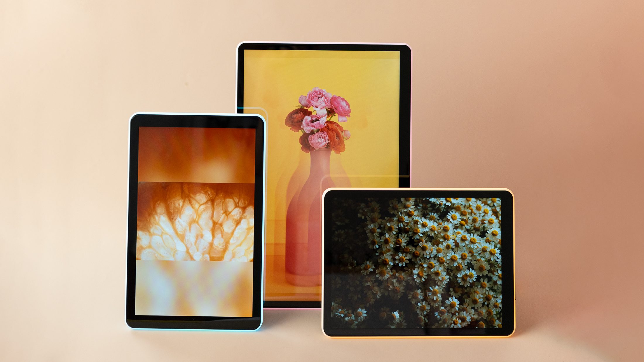 cream background with three apolosign neon photo frames with colorful flowers