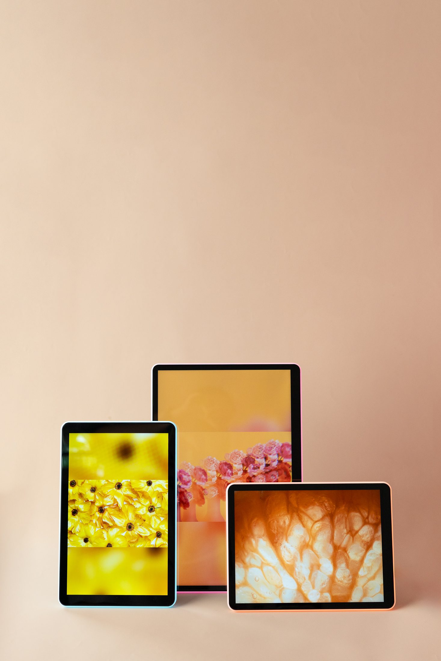 three apolosign photo frames on a tan background showing three different colorful flower photos.